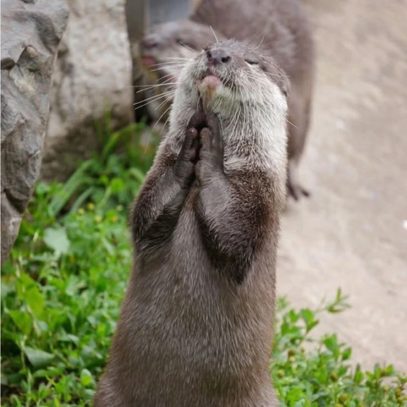 Shipping - Picture 1 of 1